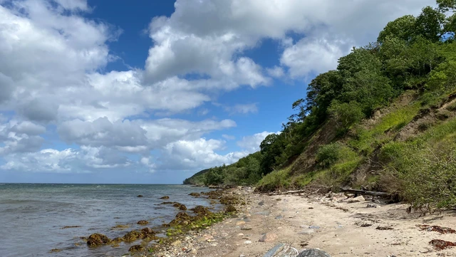 Røjle Klint